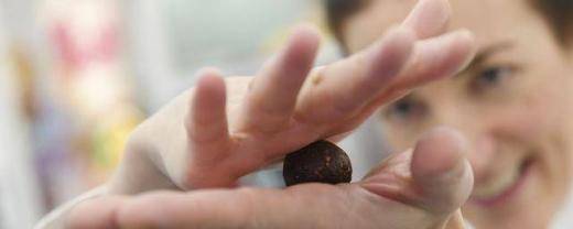 Академия Шоколада