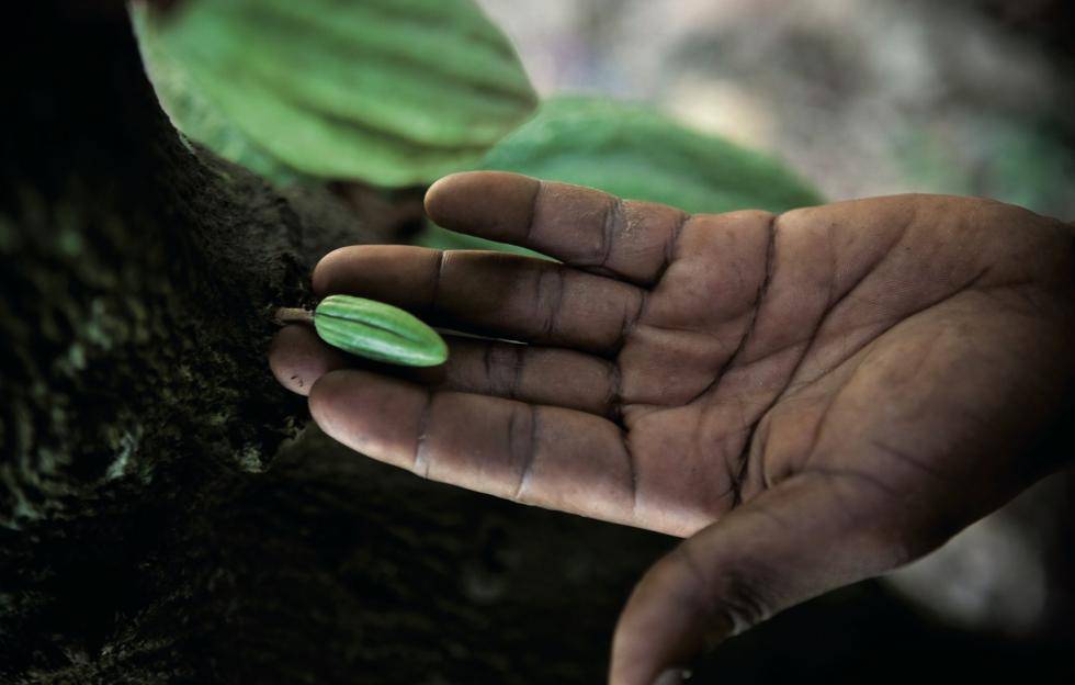 Наша цель — устойчивое развитие