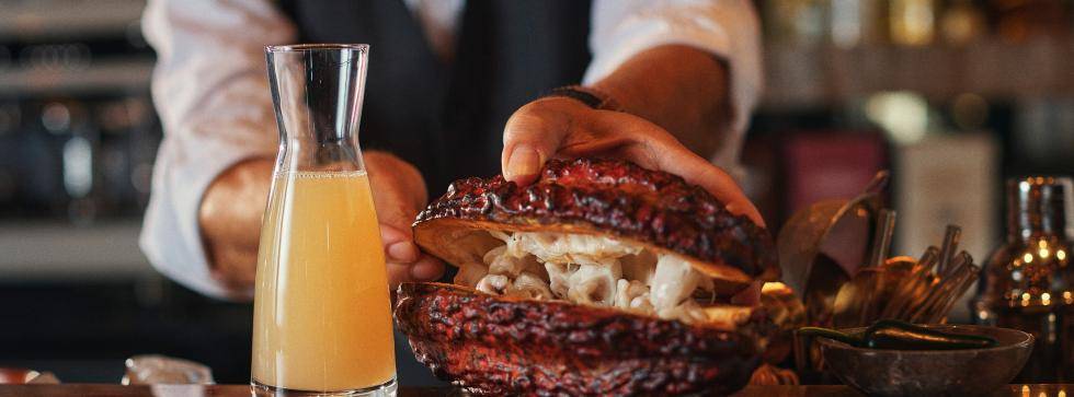 van-houten-caribbean-cabosse