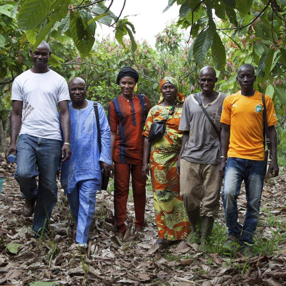 Chocovic sotenibilidad cacao