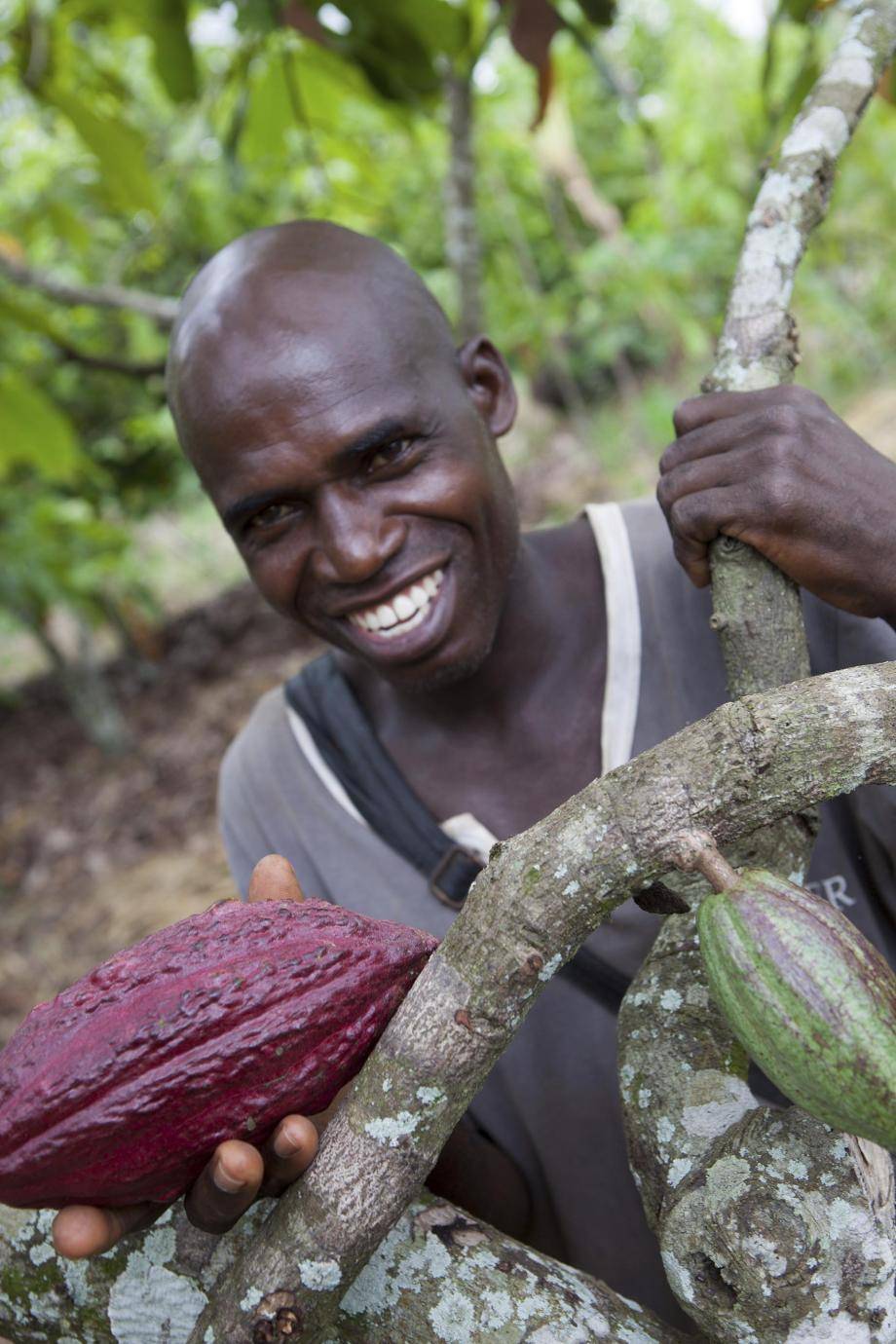 Cocoa Farmer