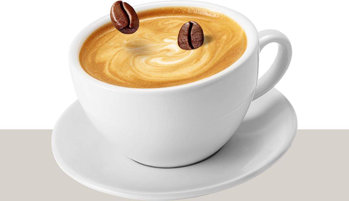 van houten story of chocolate coffee cup